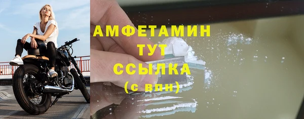 сатива Алзамай