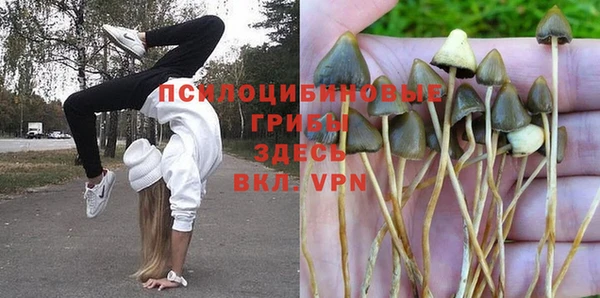 мяу мяу мука Алексеевка
