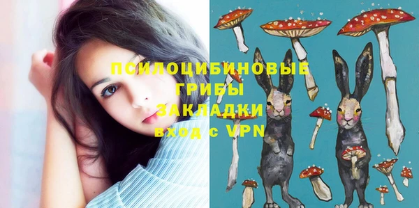 сатива Абдулино