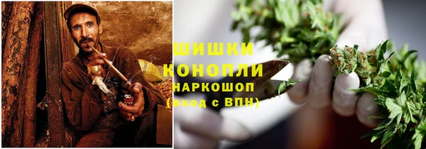 сатива Абдулино